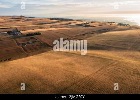 Stunning aerial drone landscape image of golden hour over farmers fields in South Downs National Park in England during Summer dawn Stock Photo