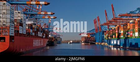 Container ships at the container terminal Eurogate and Burchardkai, Hamburg, Germany, Europe Stock Photo