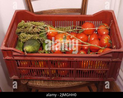 Freshly picked tomatoes and various summer vegetables Stock Photo