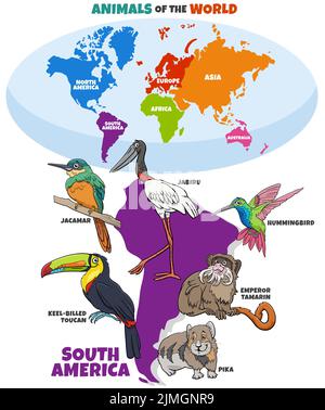 Educational illustration with cartoon South American animals Stock Photo