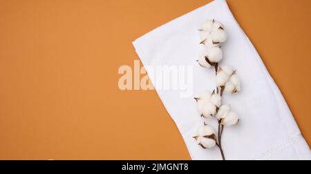 Folded white cotton terry towel and sprigs of cotton flower on a orange background, top view Stock Photo