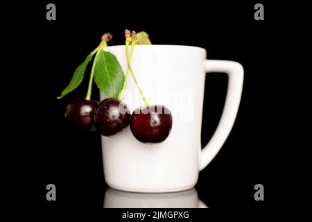 Several ripe sweet cherries with a white ceramic cup, close-up, isolated on a black background. Stock Photo