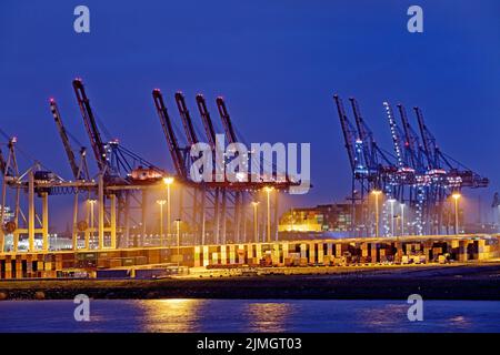 Loading cranes at the container terminal in Tollerort in the evening, Port of Hamburg, Germany Stock Photo