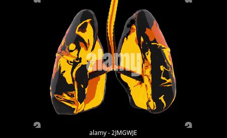 Glass human lungs Stock Photo - Alamy