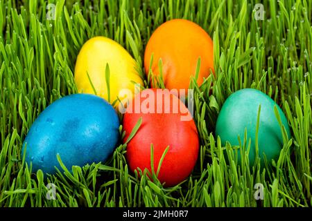Easter eggs in the grass Stock Photo