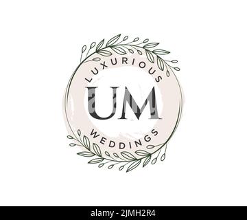 UM Initials letter Wedding monogram logos template, hand drawn modern minimalistic and floral templates for Invitation cards, Save the Date, elegant Stock Vector