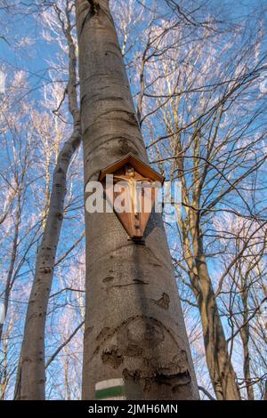 Small wooden crucified jesus on the beech tree in the forest. Wooden cross with jesus. Stock Photo