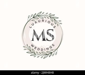 MM Initials letter Wedding monogram logos template, hand drawn modern  minimalistic and floral templates for Invitation cards, Save the Date,  elegant identity. 16373153 Vector Art at Vecteezy