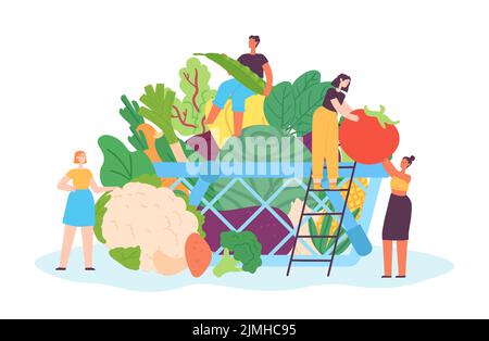 Tiny people with vegetables. Female and male characters carrying veggies to basket. Container full of fresh, organic food as cabbage, tomato, eggplant Stock Vector