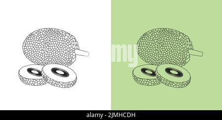 vector illustration of Breadfruit on green and white background for app, web and print Stock Vector