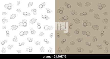 Doodle style Full and half coconut. Vector illustration  on white light brown Background.Doodle fruit icons illustration. Stock Vector