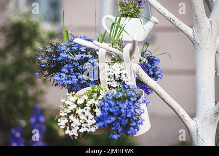 Blue white lobelia flowers in plant hangers growing outdoors, hanging plant holder ideas for gardens Stock Photo