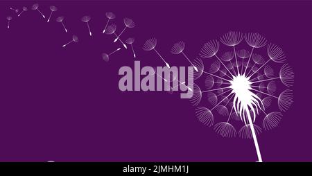 A vector illustration of a white dandelion seeds flying away on a purple background Stock Vector
