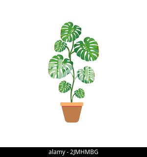 Green leaf of a tropical flower monstera isolated on white background. Stock Vector