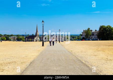 6 August 2022 - London, UK - Dried out grassland in Blackheath after a series of heatwaves and record high temperatures in the city Stock Photo