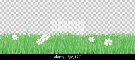 Realistic green grass border with flowers isolated on transparent ...