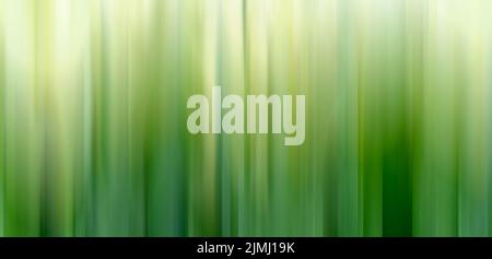 Abstract vertical green lines background. Stock Photo