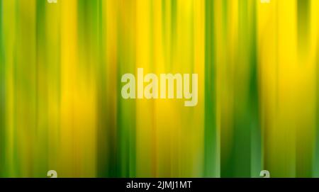 Abstract vertical green lines background. Stock Photo