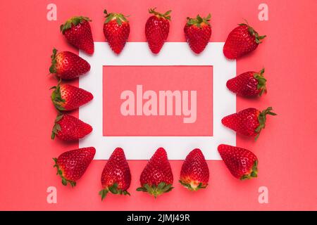 Ripe juicy strawberries lined up white frame pink background Stock Photo