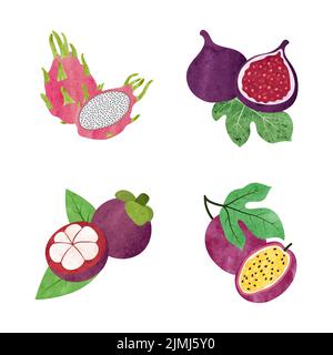 Exotic fruits set. Vector watercolor illustration of passion fruit, mangosteen, fig and dragon fruit. Stock Vector