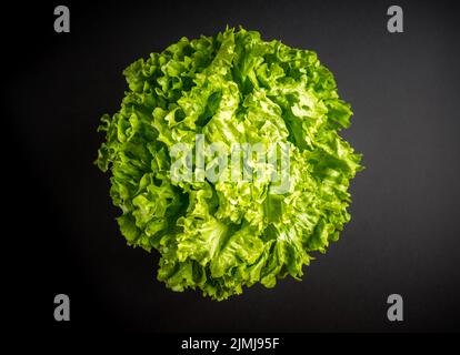 Lettuce salad isolated on a black background Stock Photo
