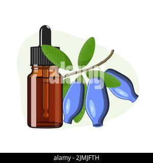 Honeysuckle essential oil in brown glass bottle, herbal alternative medicine treatment product, vector Illustration on white background Stock Vector