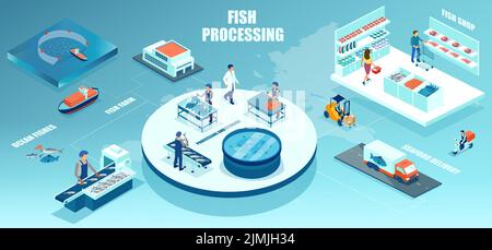 Isometric vector of a seafood processing chain of distribution from boat fishing to seafood delivery to a grocery store Stock Vector