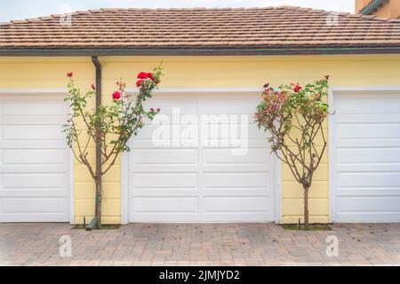 Garage exterior with flowering plants at the front at Carlsbad, San Diego, California. There are three white garage doors against the yellow walls of Stock Photo