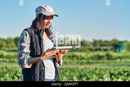 Technology helps make farming so much simpler. a young female farmer using a digital tablet while inspecting crops on her farm. Stock Photo