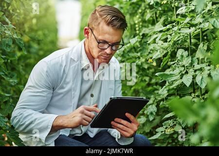 Technology is a handy tool for every researcher and scientist. a handsome young scientist using a digital tablet while studying plants and crops Stock Photo