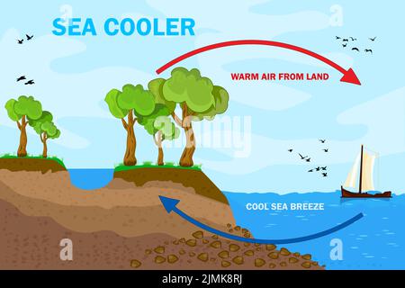 Diagram showing circulation of sea breeze illustration Stock Vector ...