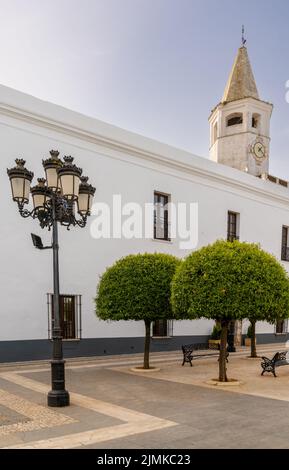 Orange trees and whitewashed buildings under a blue sky on the Plaza de la Constitucion Square Stock Photo