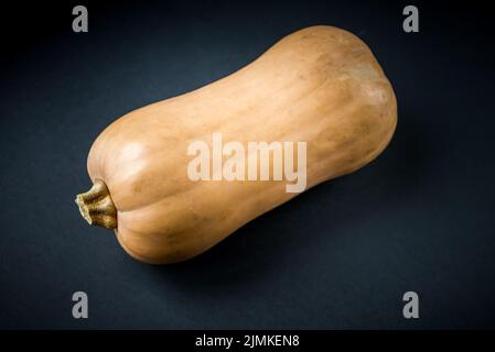 Butternut squash isolated on black background Stock Photo
