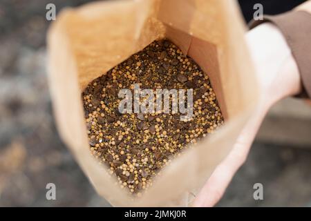 Seeds of siderates as fast growing green manure in paper bag. Stock Photo