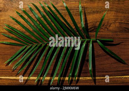 Closeup of small palm leaf on wooden surface Stock Photo