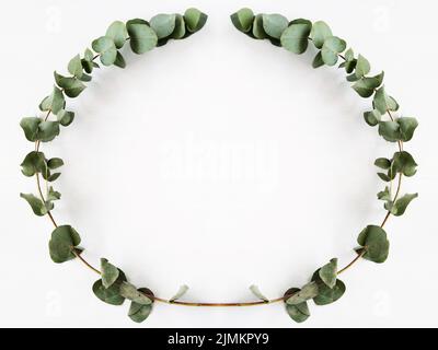 floral wreath natural decor green eucalyptus twig Stock Photo