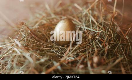 easter decor painted golden egg handmade nest Stock Photo