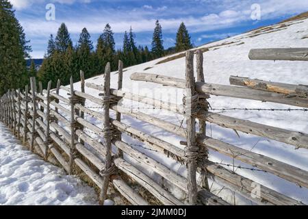 An old wooden fence that is held together with willow rods and separates two snowy pastures from each other. In addition, the fence is reinforced with Stock Photo
