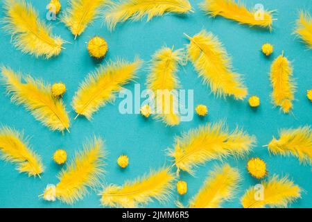 Top view yellow feather pom poms carnival Stock Photo