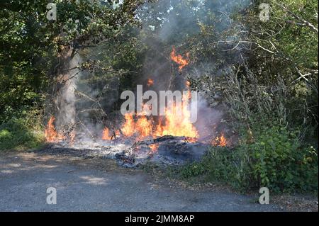 A wildfire by the side of the road in Ardingly, West Sussex during the drought condition's of the summer on the 07th August 2022 Stock Photo