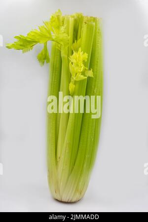 Fresh green petiole celery on a white background Stock Photo
