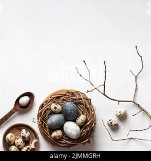 Flat lay easter eggs bird nest with copy space twig Stock Photo
