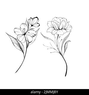 Set Flowers Periwinkle. Hand drawing. Outline. On a white background. Beautiful sketch of a tattoo - a delicate twig with flowers. botany design eleme Stock Photo