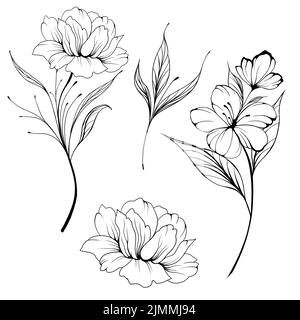 Big set Flowers Periwinkle. Hand drawing. Outline. On a white background. Beautiful sketch of a tattoo - a delicate twig with flowers. botany design e Stock Photo