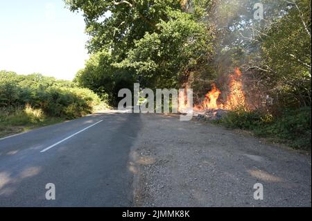 A wildfire by the side of the road in Ardingly, West Sussex during the drought condition's of the summer on the 07th August 2022 Stock Photo