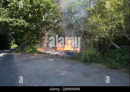 A wildfire by the side of the road in Ardingly, West Sussex during the drought condition's of the summer on the 07th August 2022 Stock Photo