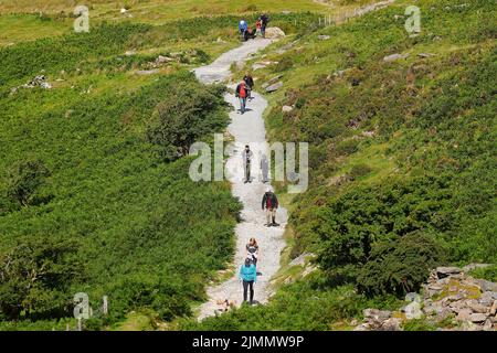 Visitors to Snowdon Mountain seen here walking up the Llanberis Path to the summit. Stock Photo