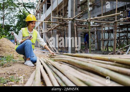 Engineers are checking the quality of bamboo before using at the outdoors construction site Stock Photo