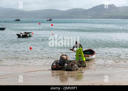 Fisherman at Porthdinllaen beach near Morfa Nefyn, Lleyn Peninsula, North Wales. Stock Photo