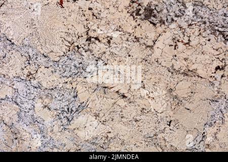 Natural White Persa granite background, texture for your unique design. Stock Photo